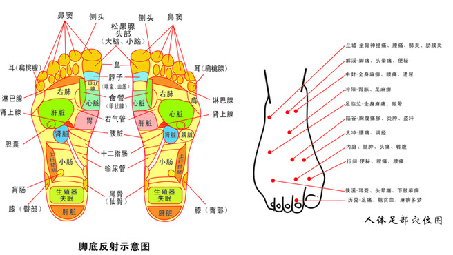 醫(yī)用鑷子供應(yīng)商